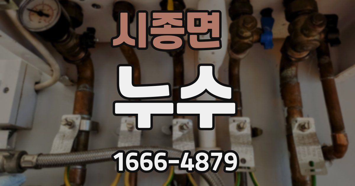 시종면 누수