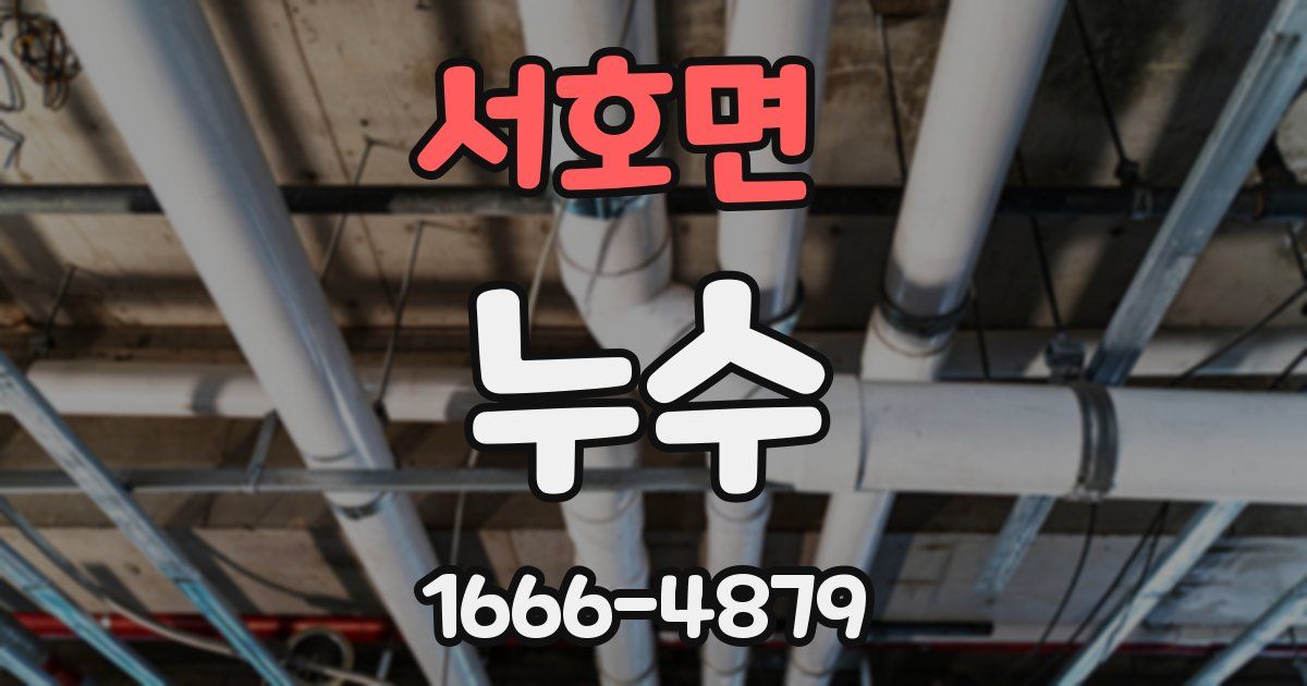 서호면 누수
