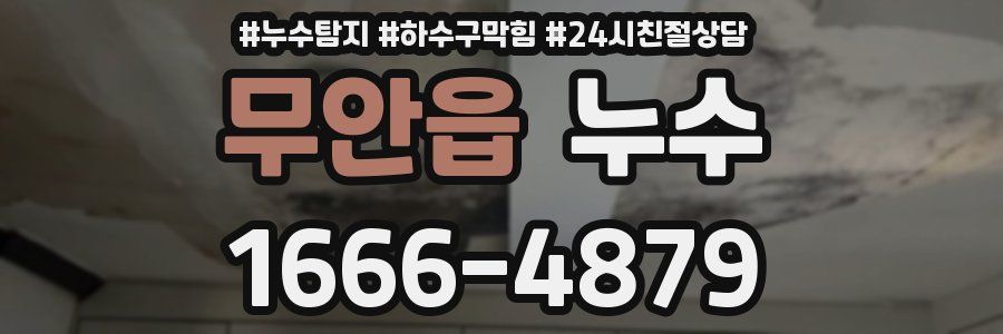 무안읍 누수
