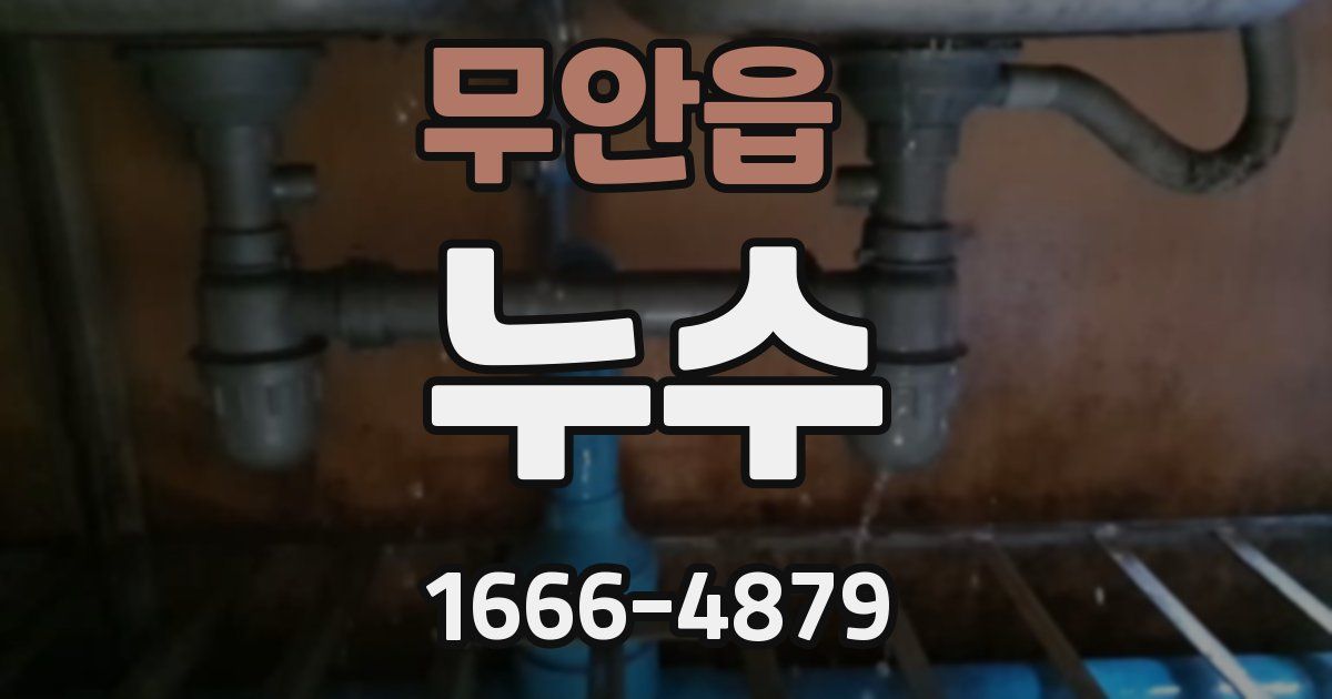 무안읍 누수