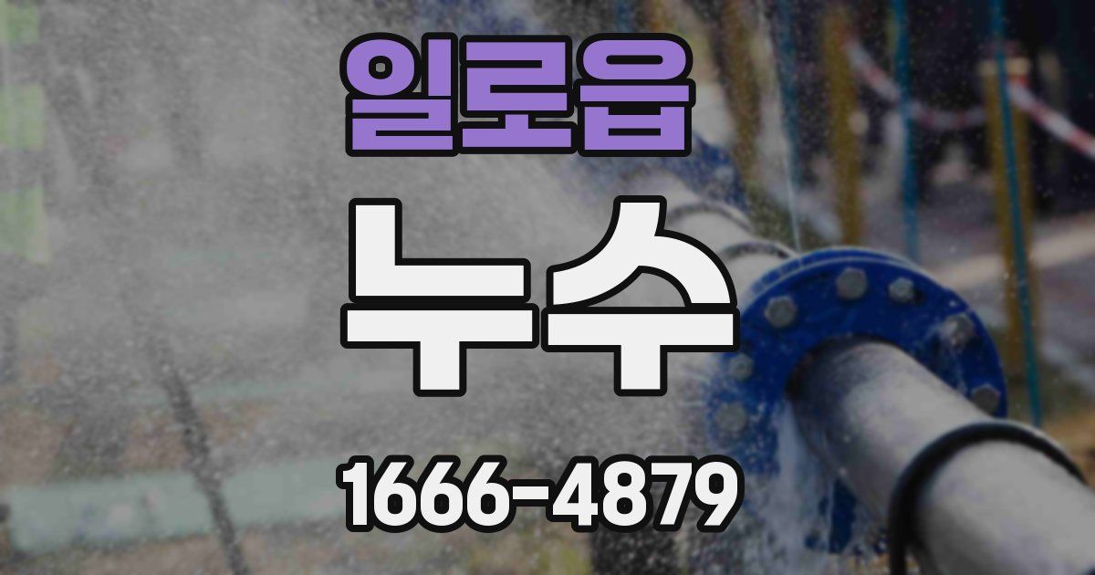 일로읍 누수