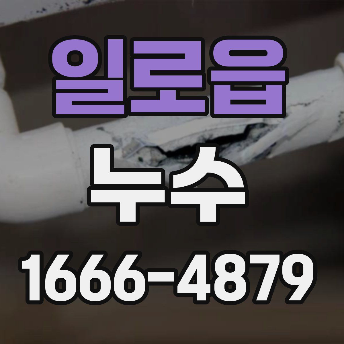 일로읍 누수