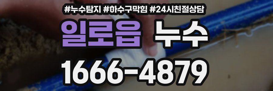 일로읍 누수