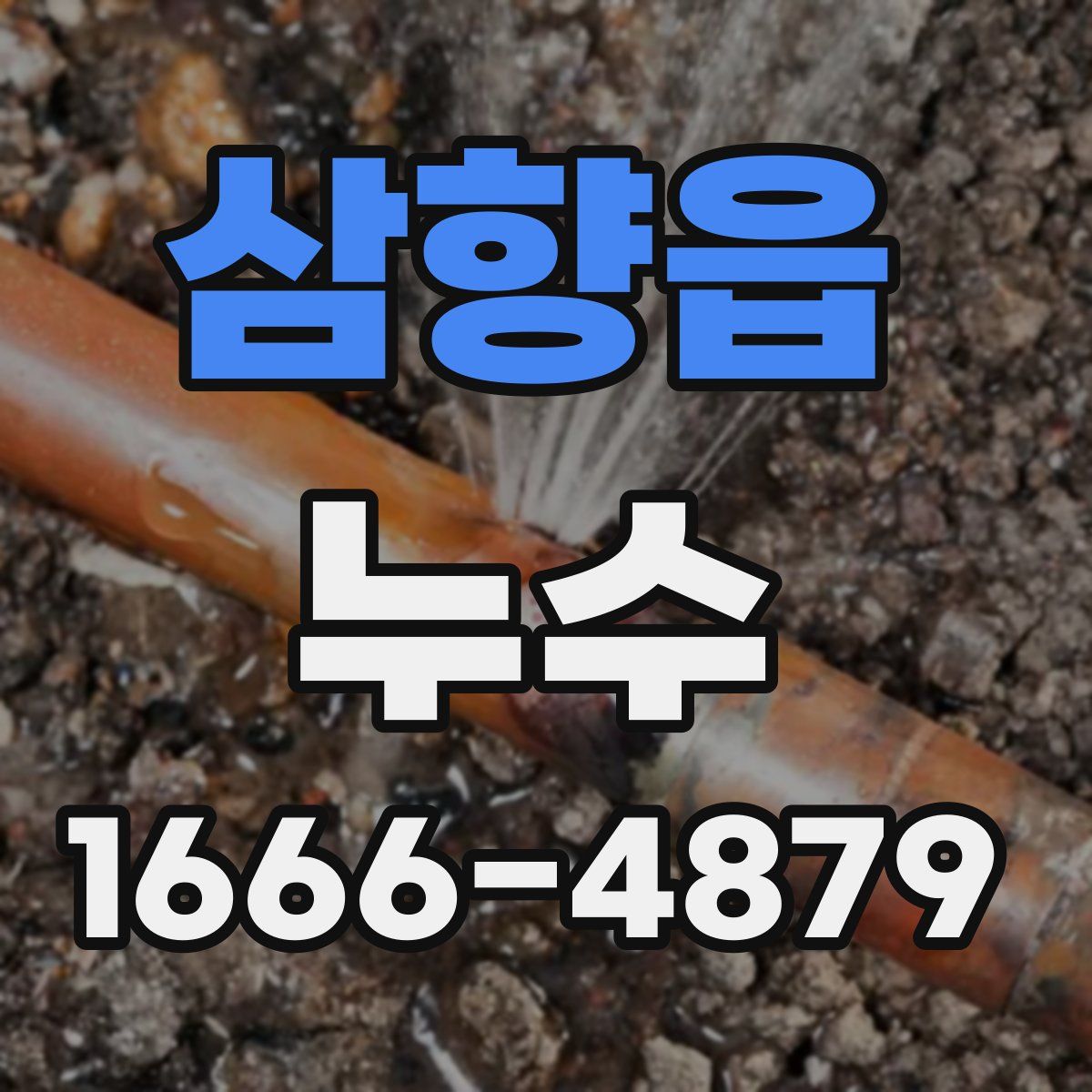 삼향읍 누수