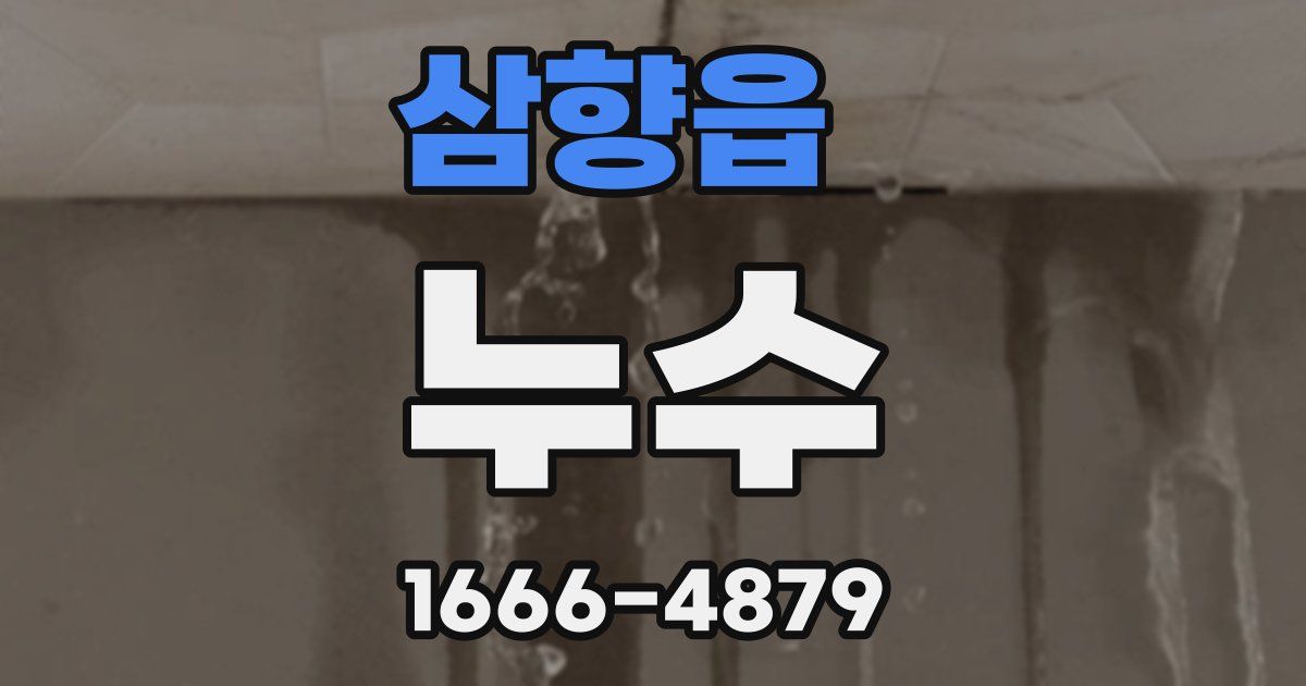 삼향읍 누수