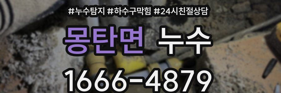몽탄면 누수