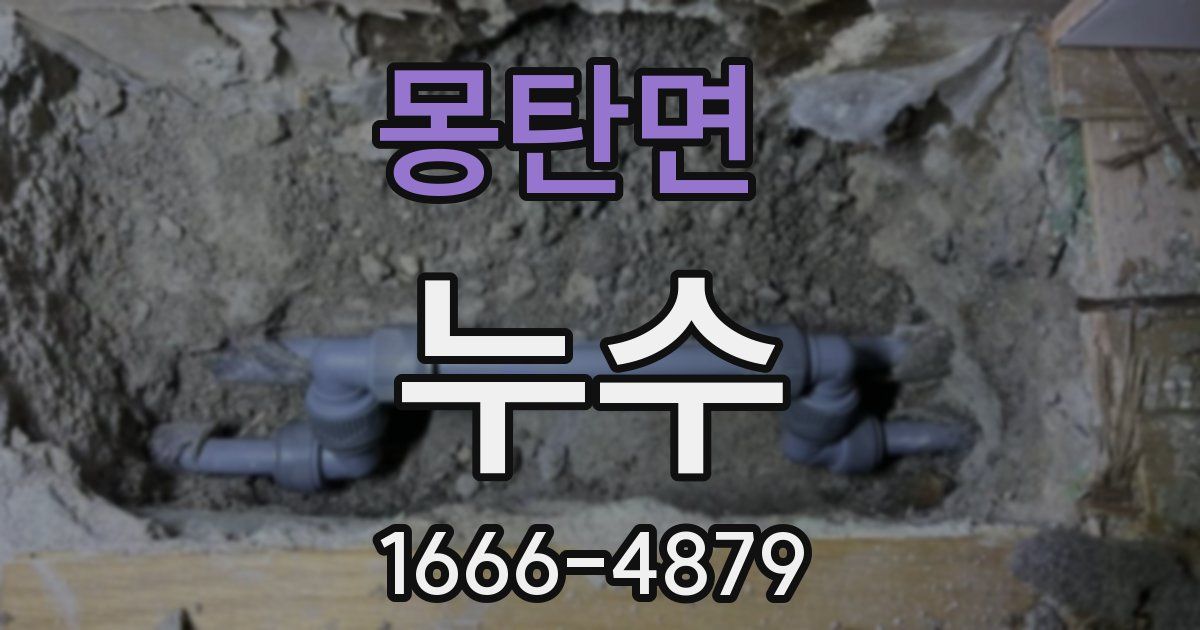 몽탄면 누수