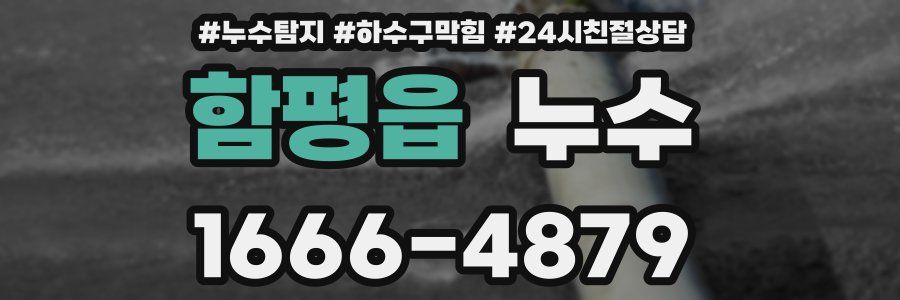 함평읍 누수