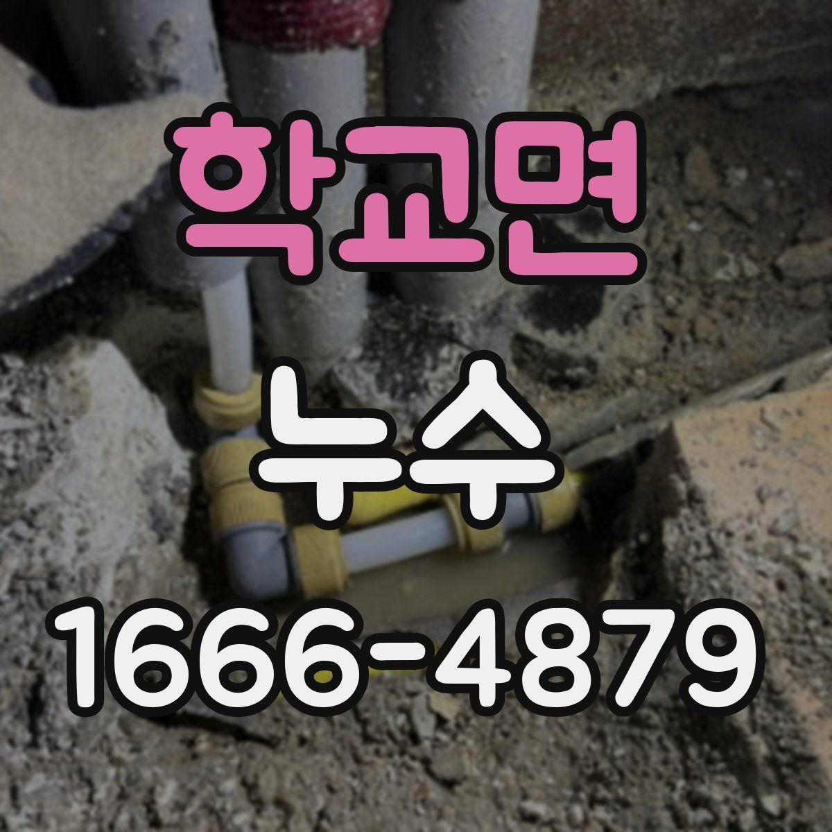 학교면 누수