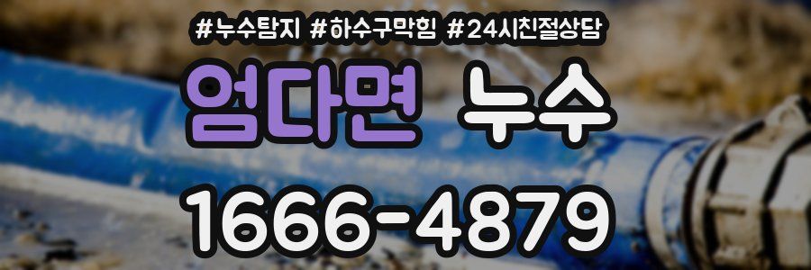 엄다면 누수