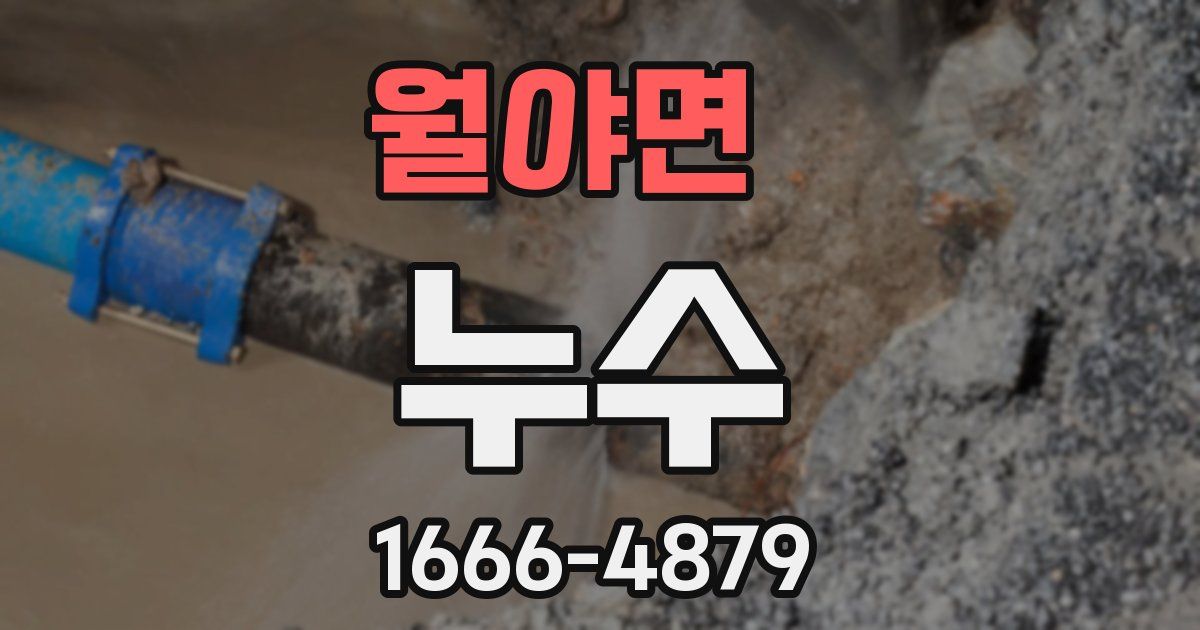 월야면 누수