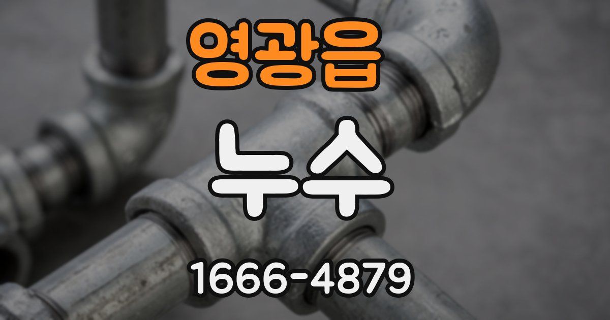 영광읍 누수