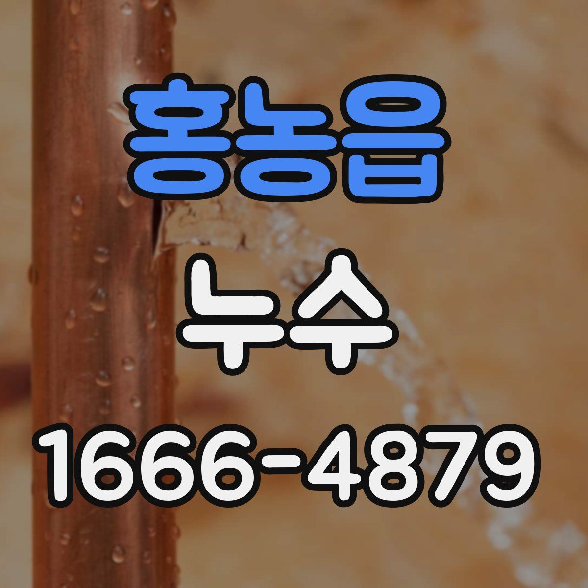 홍농읍 누수