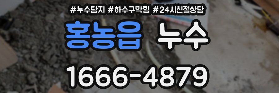 홍농읍 누수