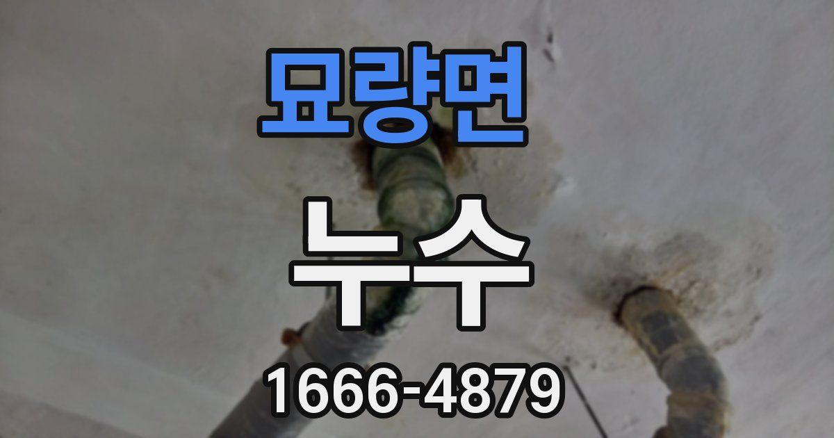 묘량면 누수