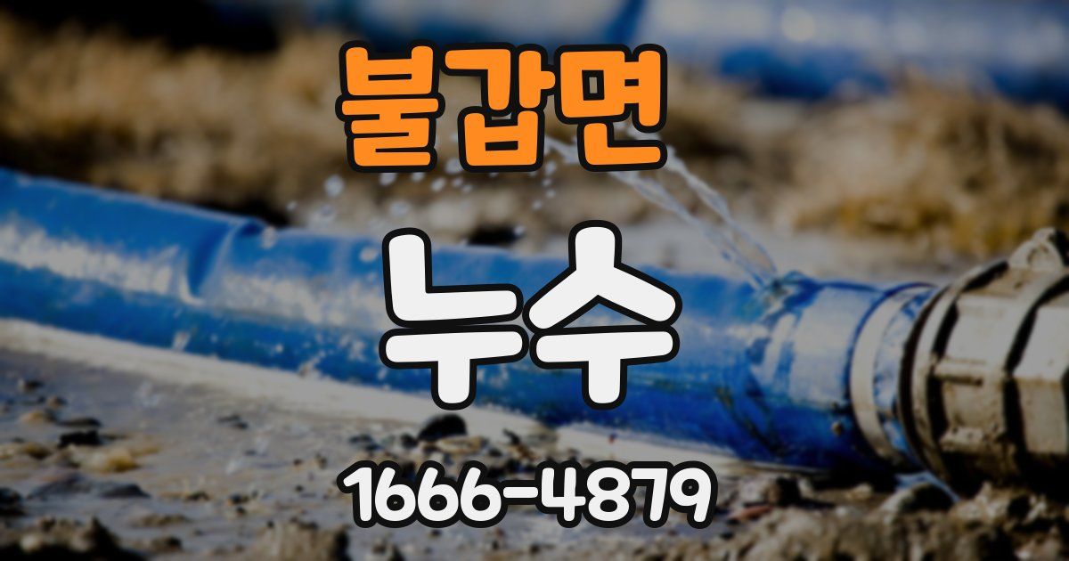 불갑면 누수