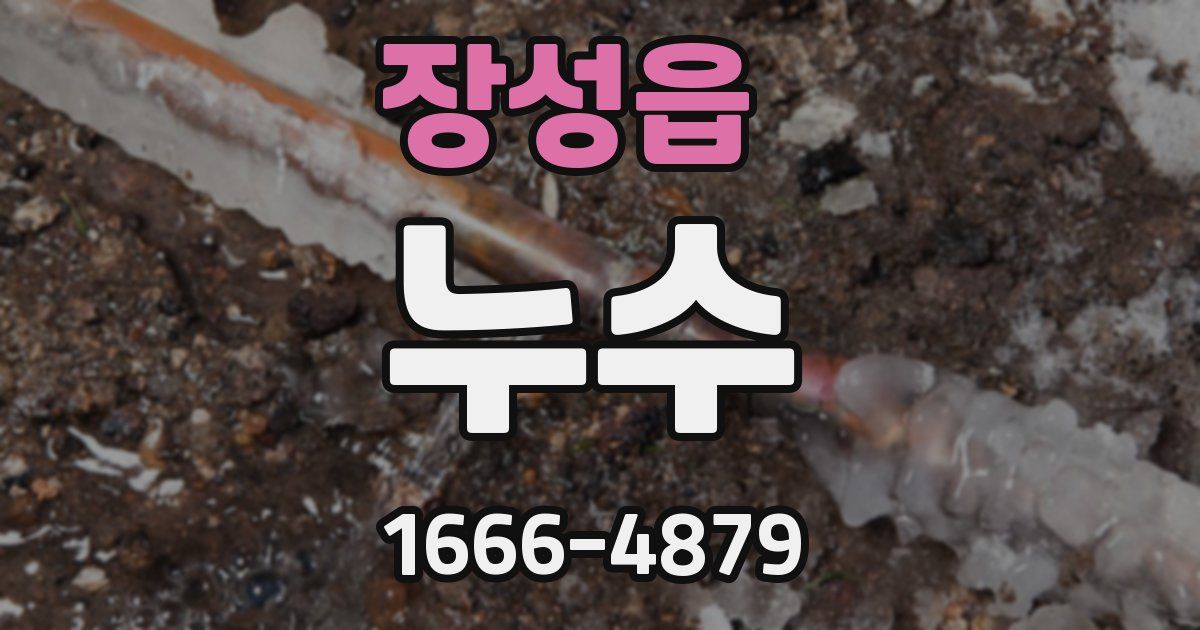 장성읍 누수