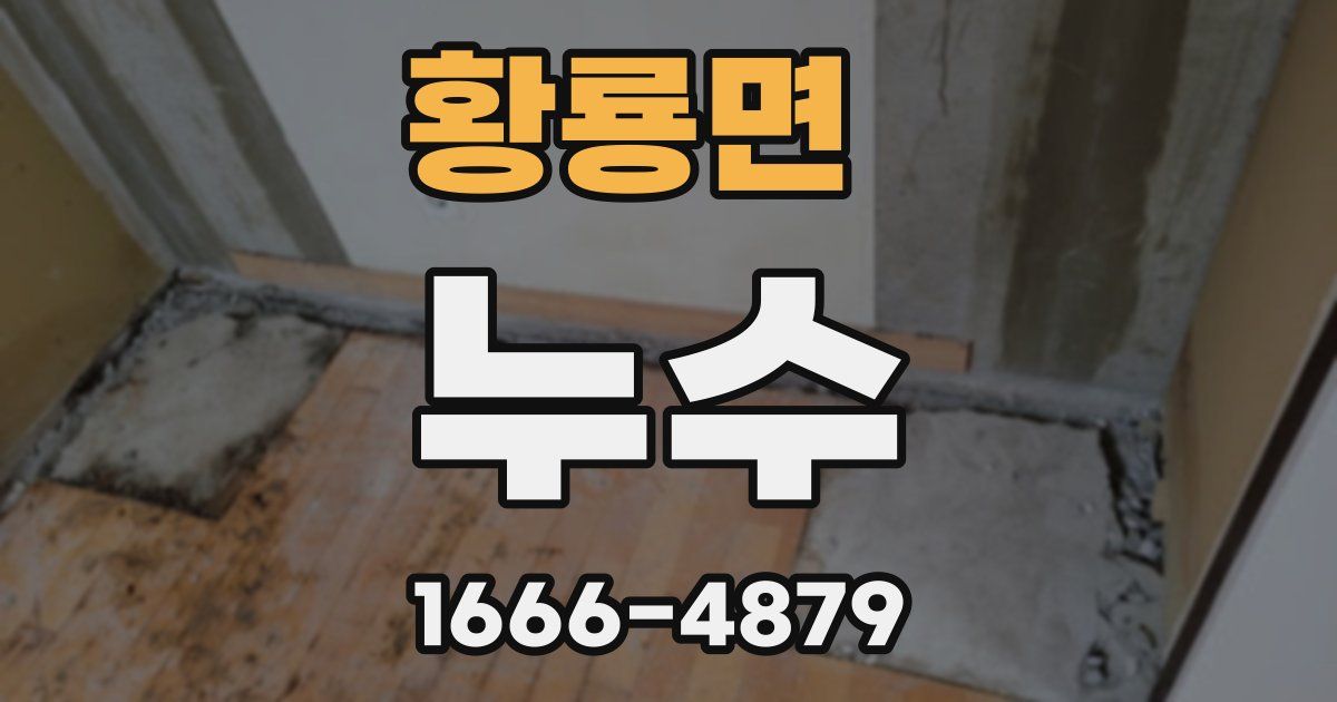 황룡면 누수