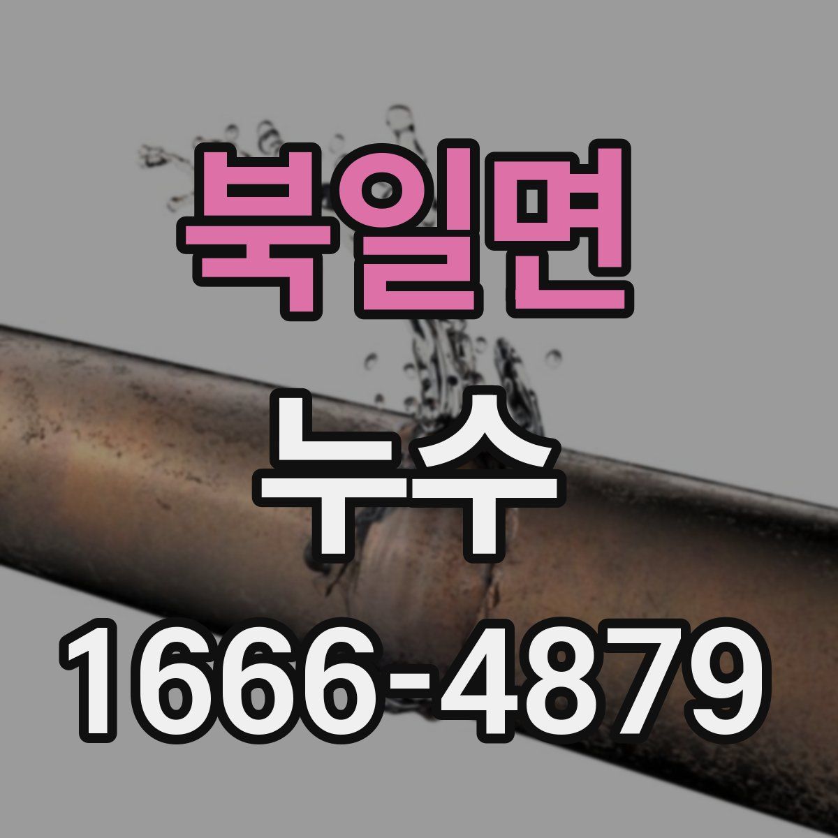 북일면 누수