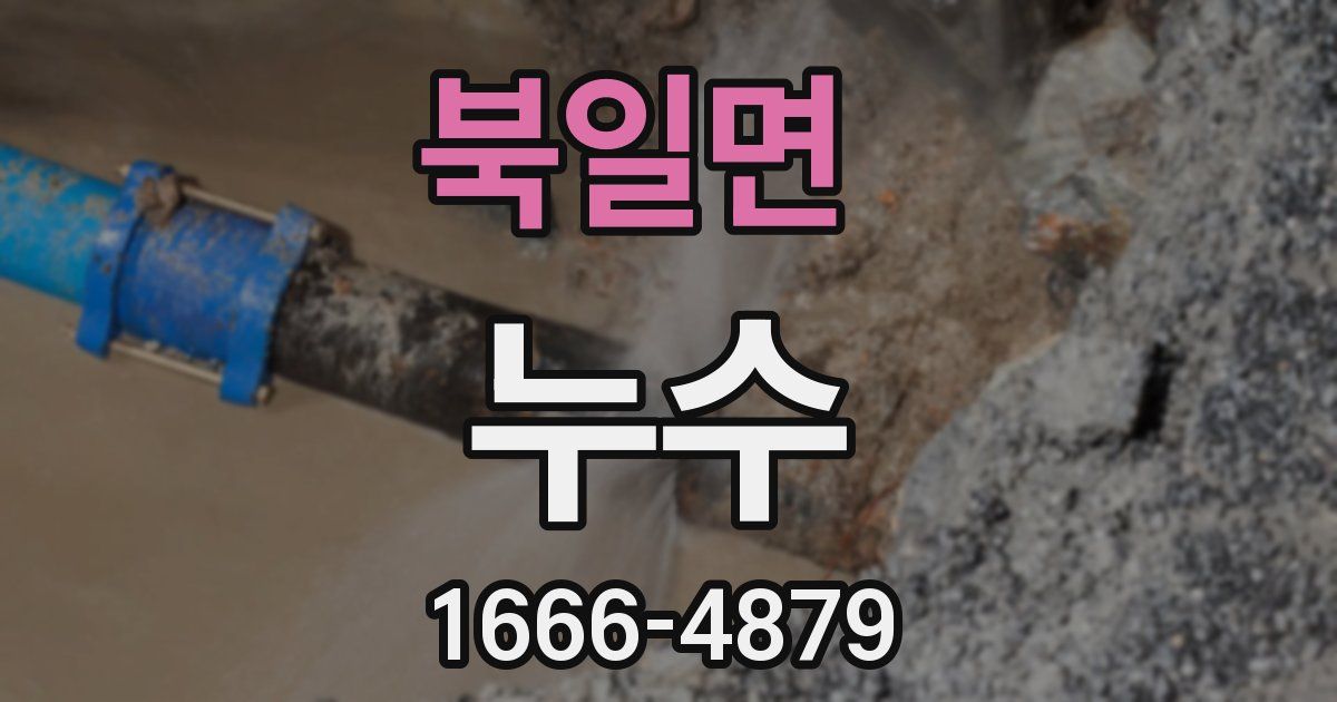 북일면 누수