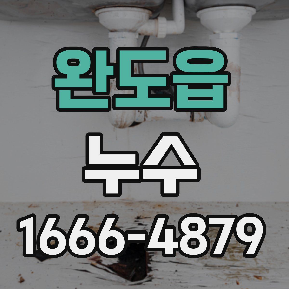 완도읍 누수