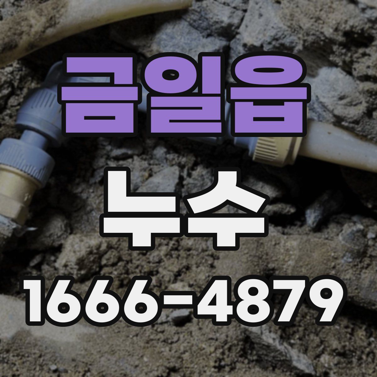 금일읍 누수