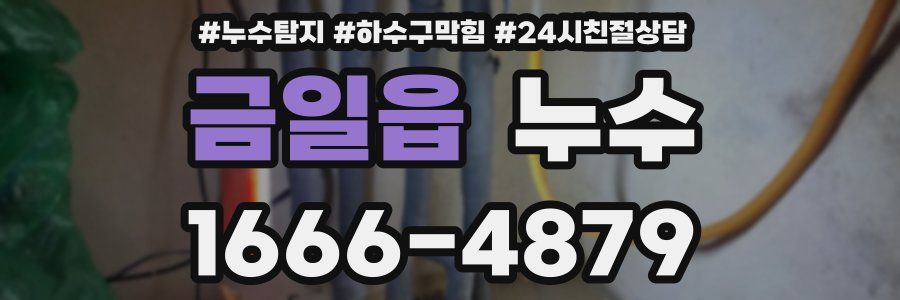 금일읍 누수