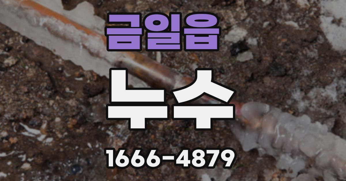 금일읍 누수