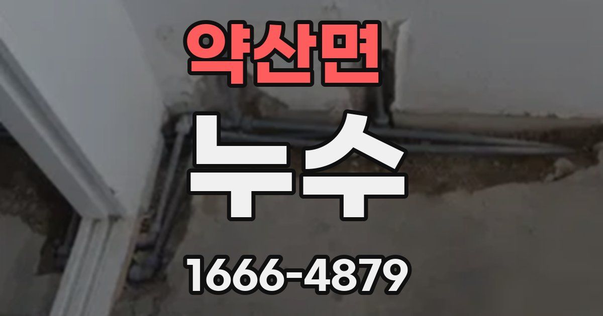 약산면 누수