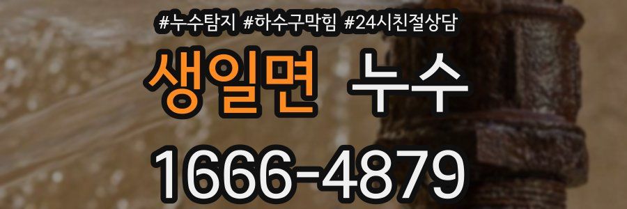 생일면 누수