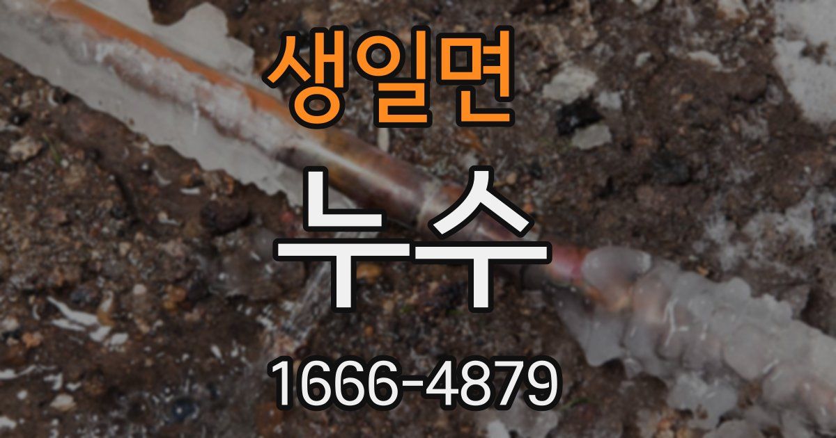 생일면 누수