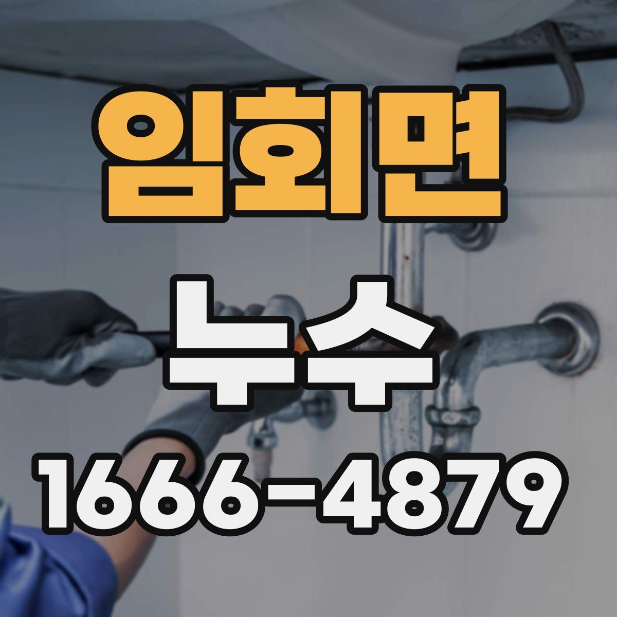 임회면 누수