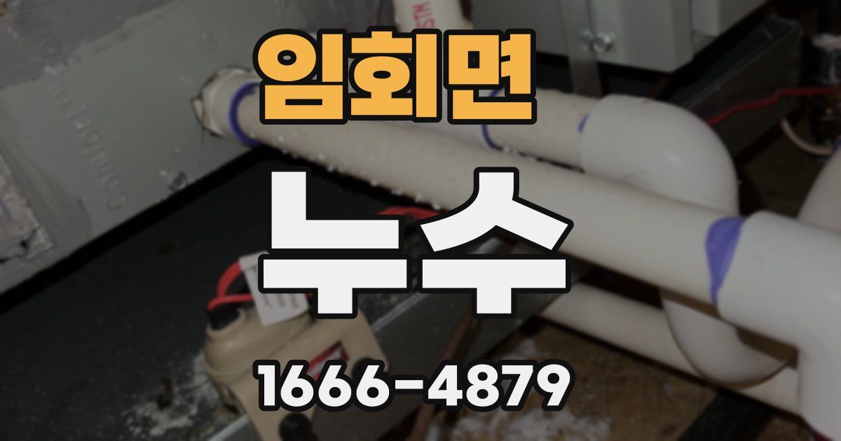 임회면 누수