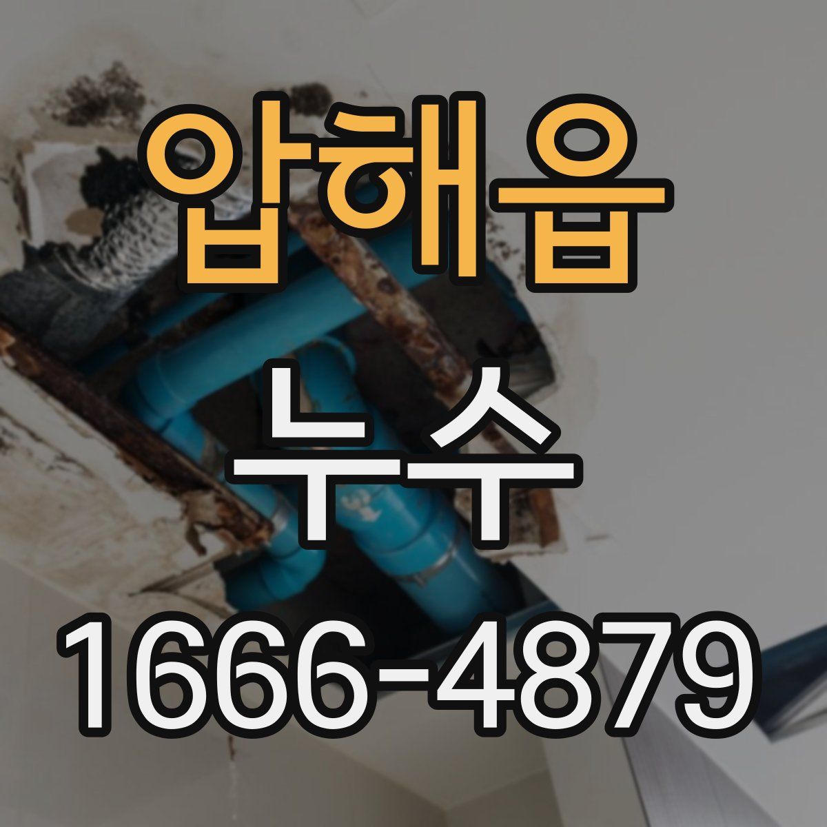 압해읍 누수