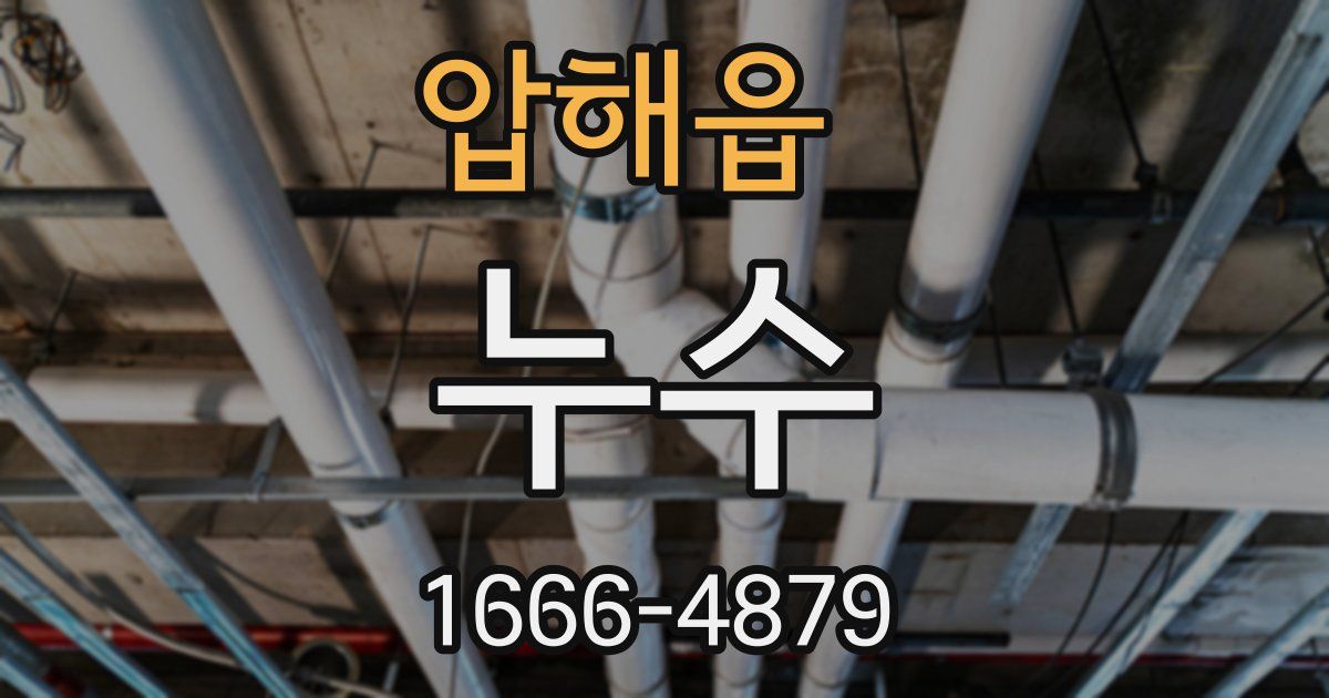 압해읍 누수