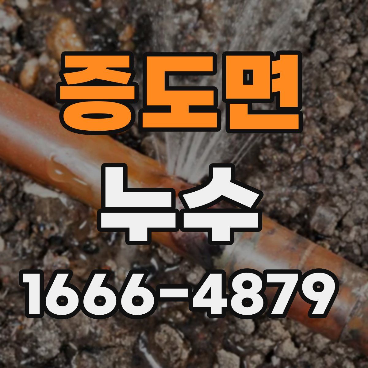 증도면 누수