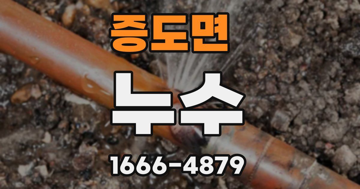 증도면 누수