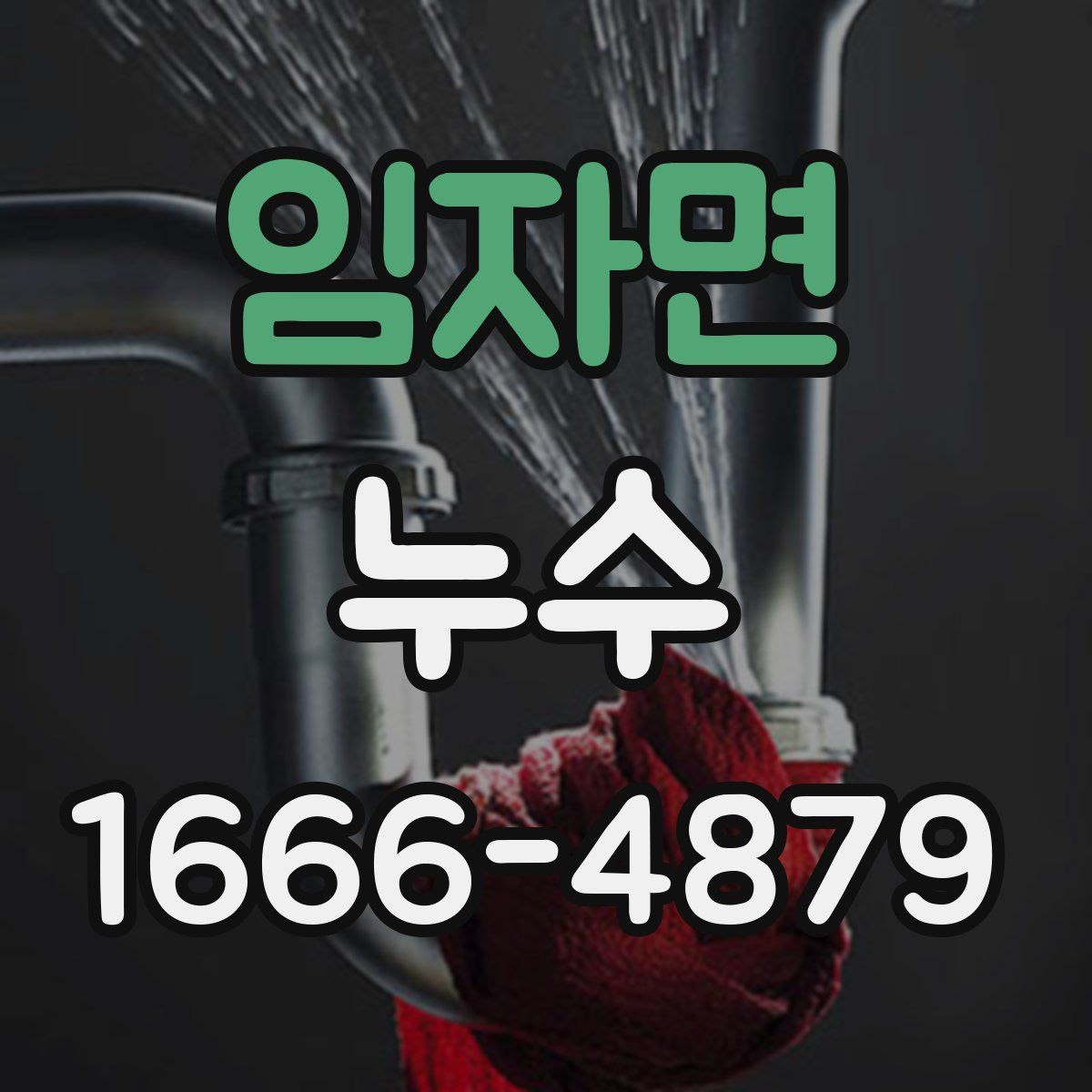임자면 누수