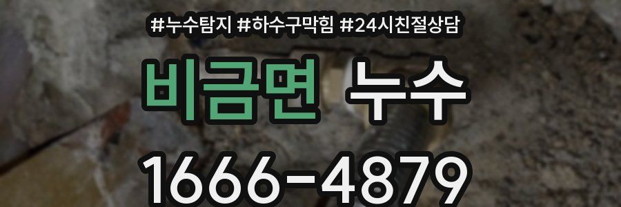 비금면 누수