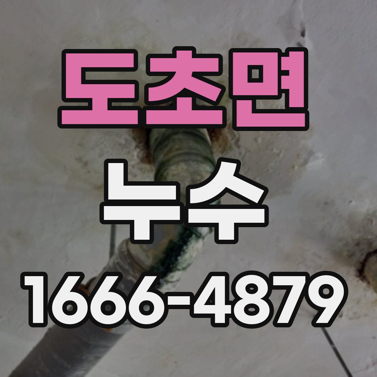 도초면 누수