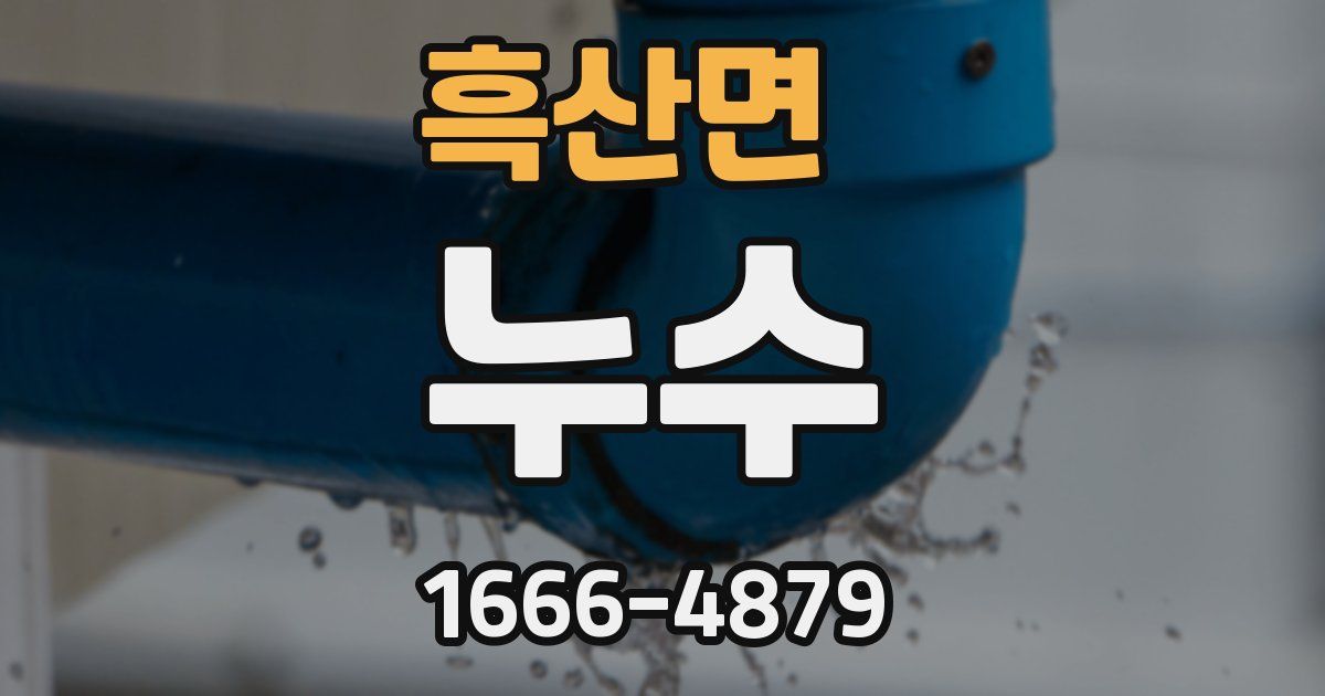 흑산면 누수