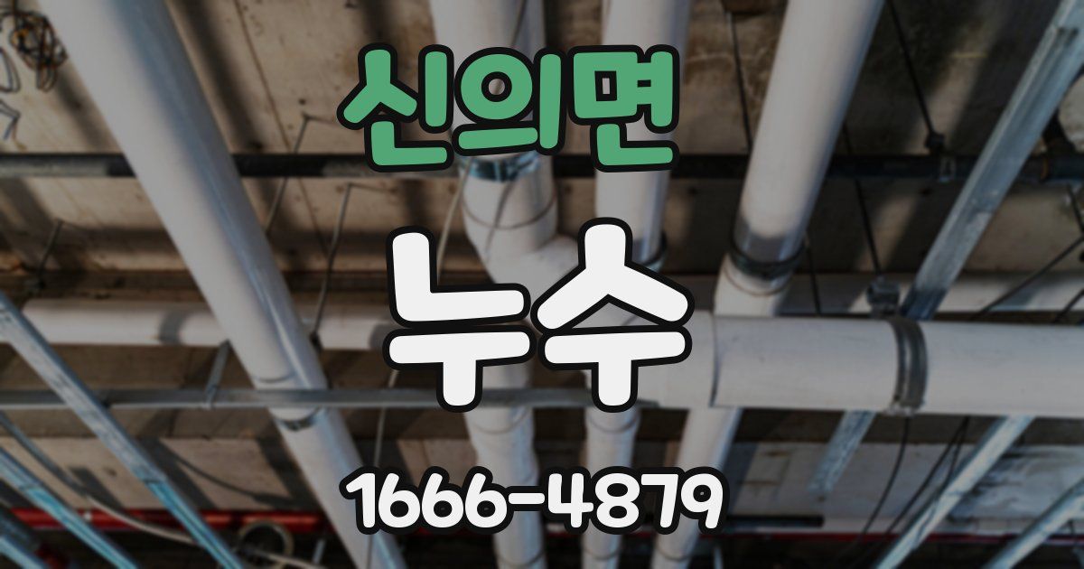 신의면 누수