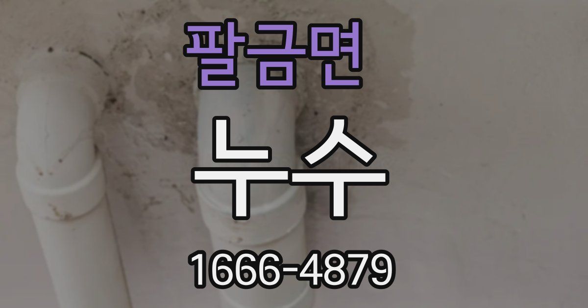 팔금면 누수