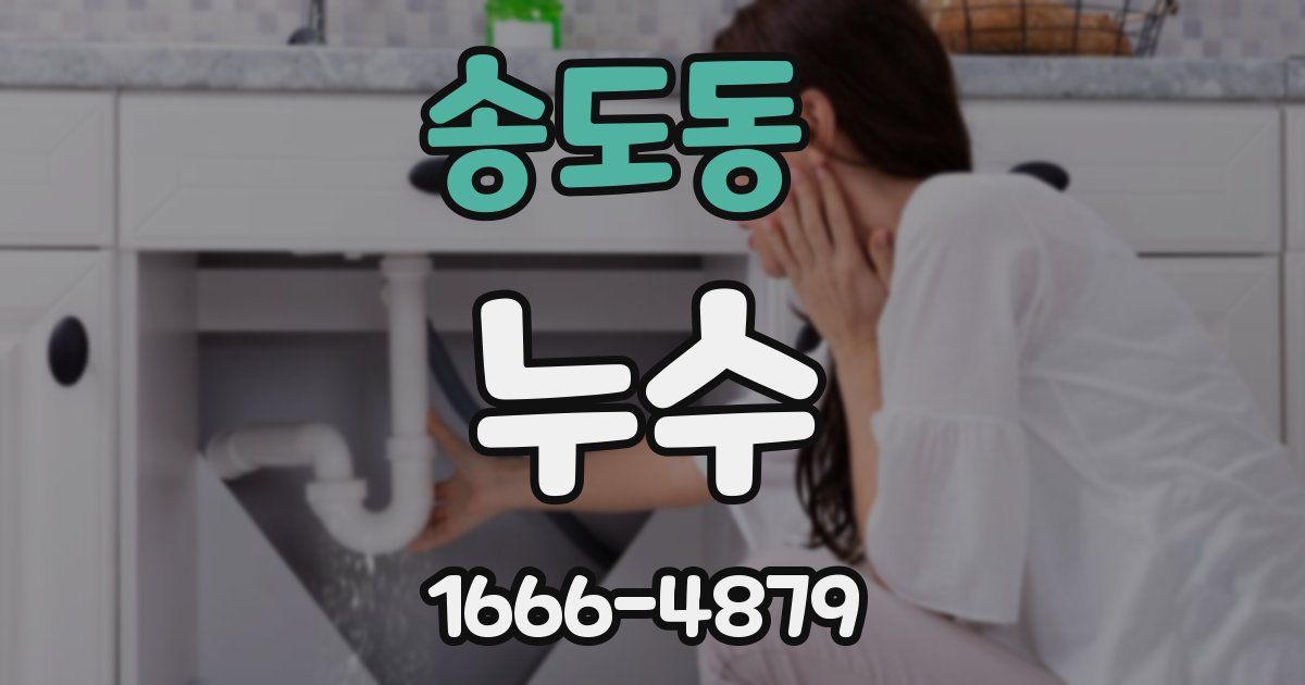 송도동 누수