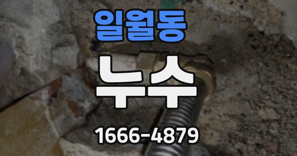 일월동 누수