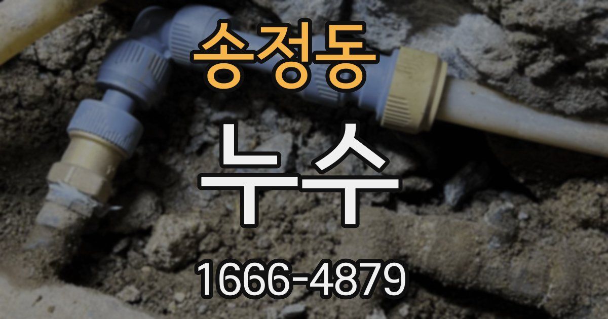 송정동 누수