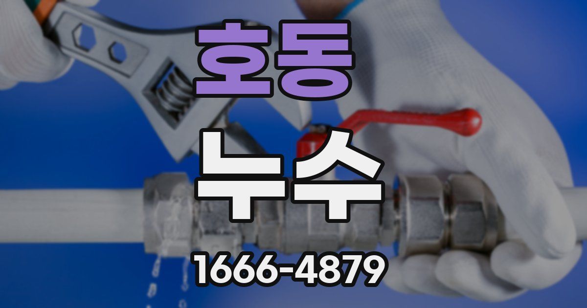 호동 누수