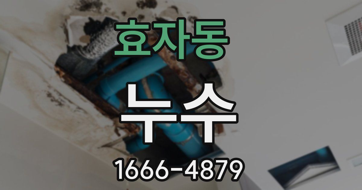효자동 누수