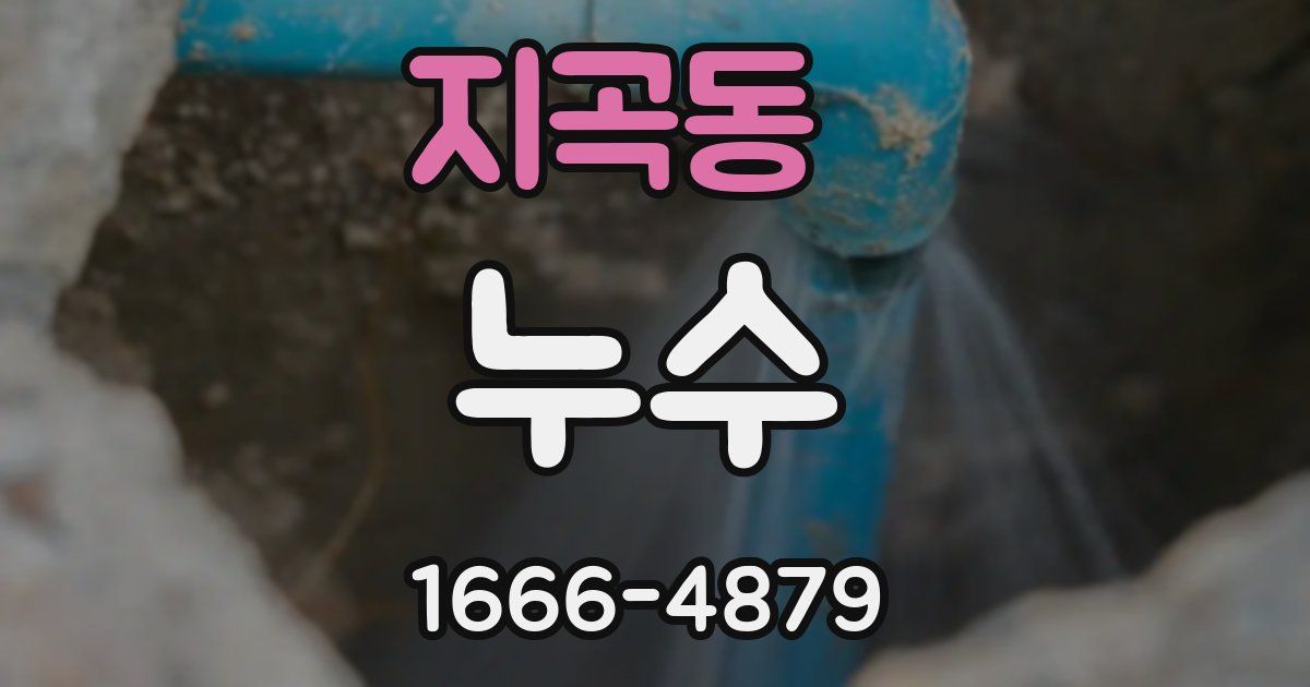 지곡동 누수
