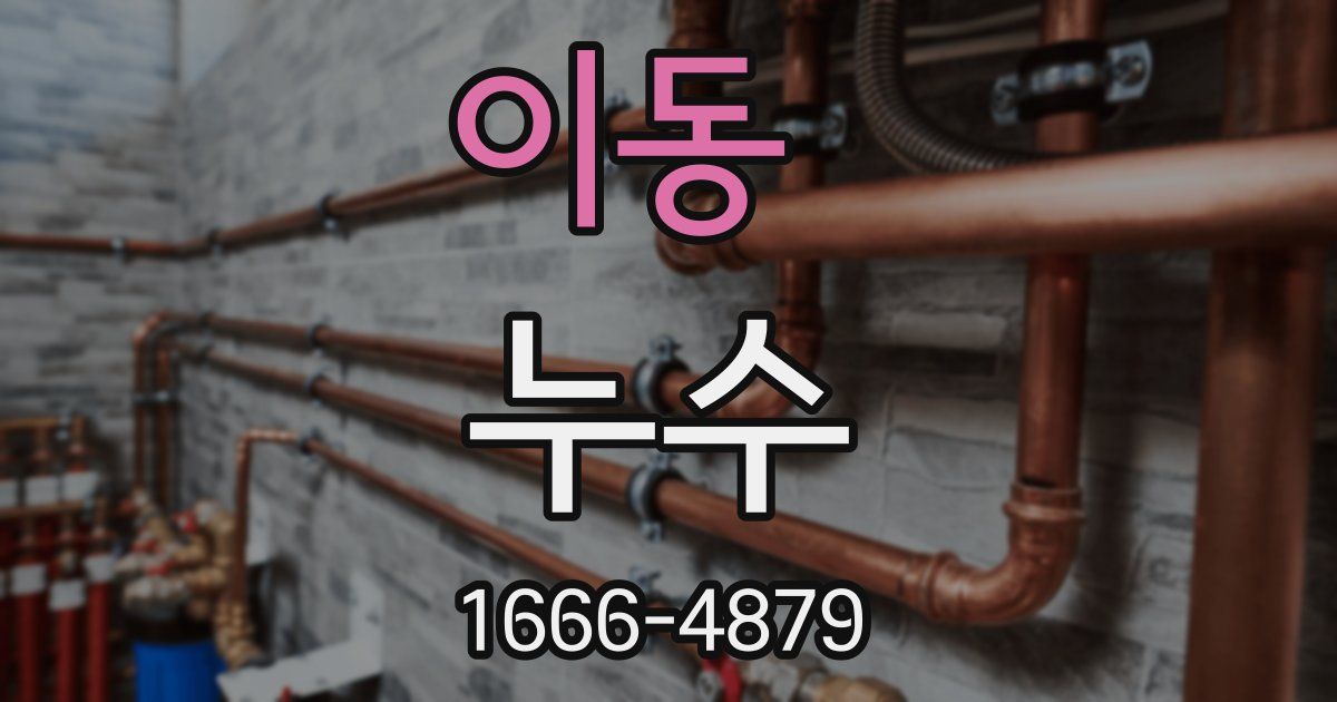 이동 누수